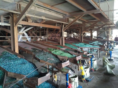 海曙区创新实践 宁波首个资源再生小区引领变废为宝新风尚